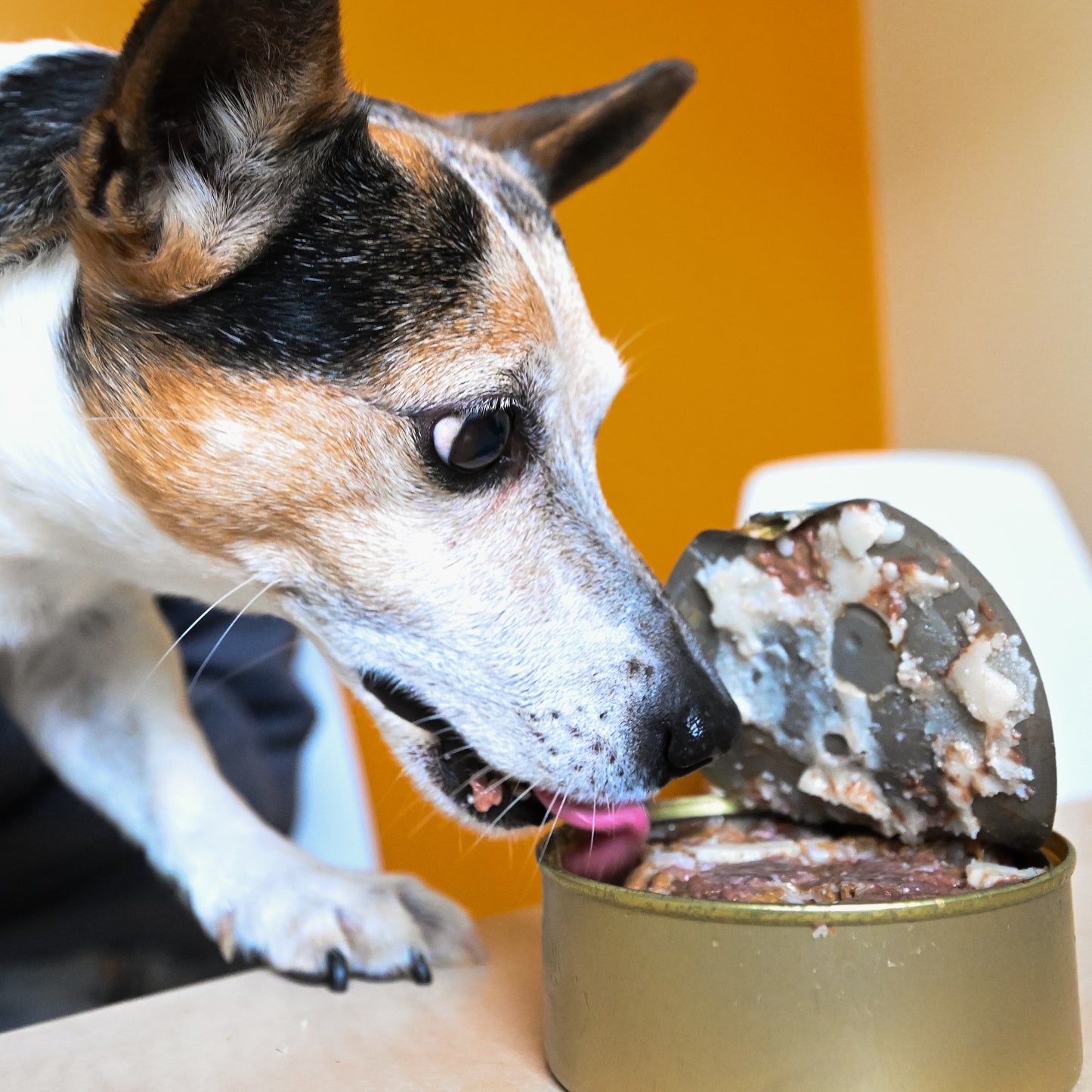 Braised venison trimmings (250 g)