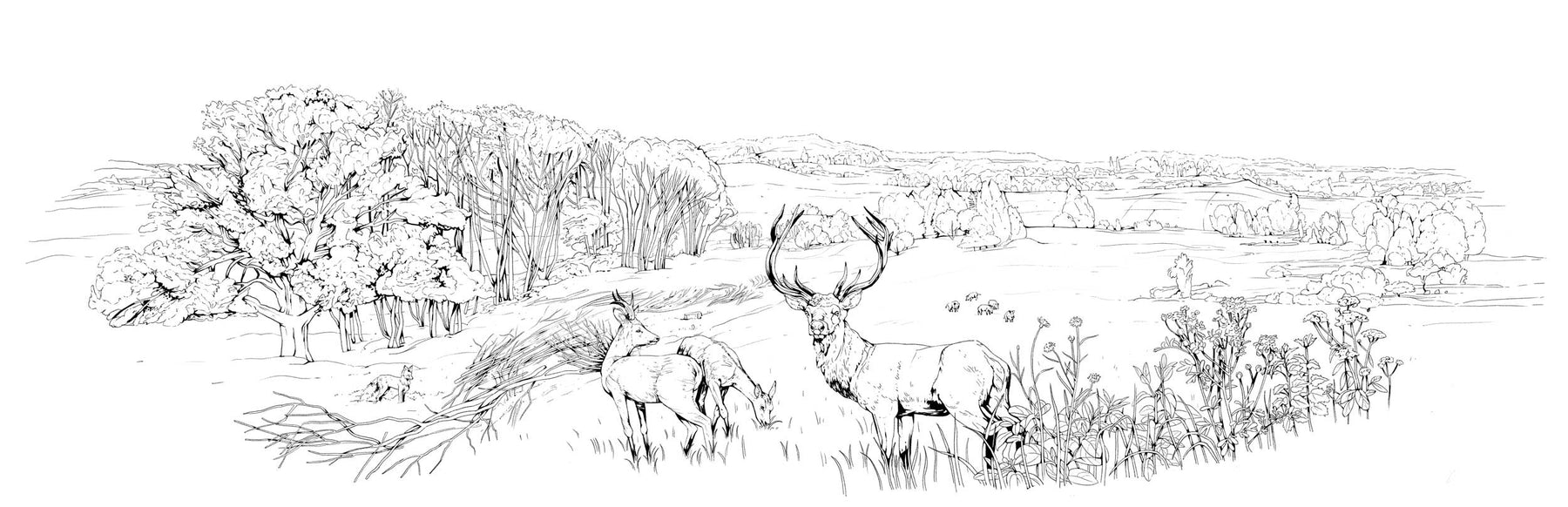 Žvėriena iš Lietuvos miškų